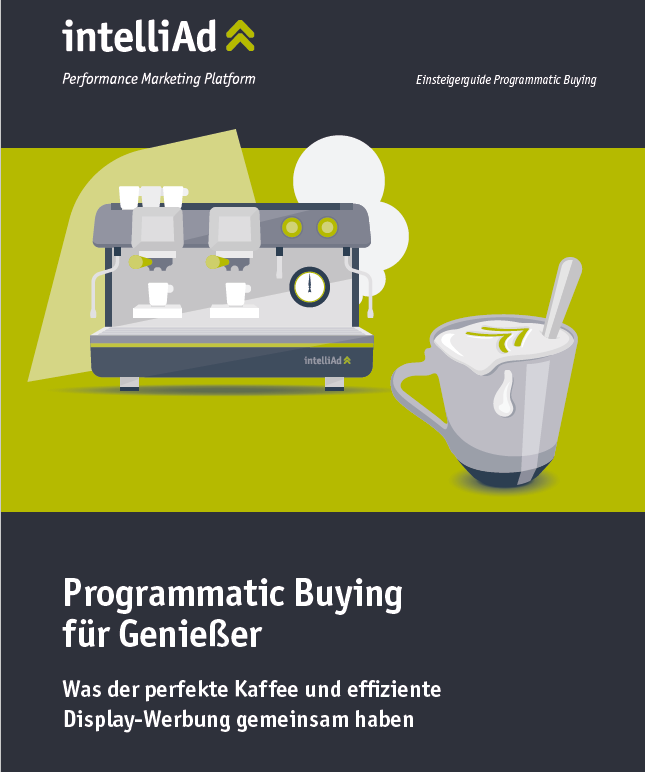 Vorschau Einsteigerguide Programmatic Buying