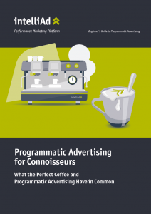 Whitepaper Beginner's Guide Programmatic Advertising